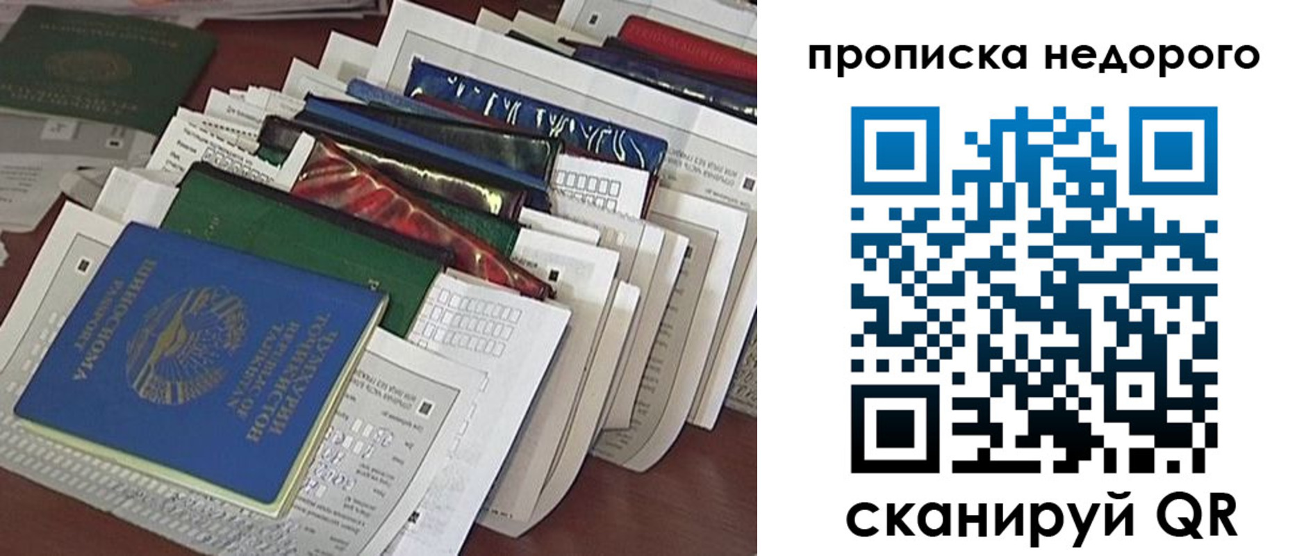 прописка гарантия в Стародубе